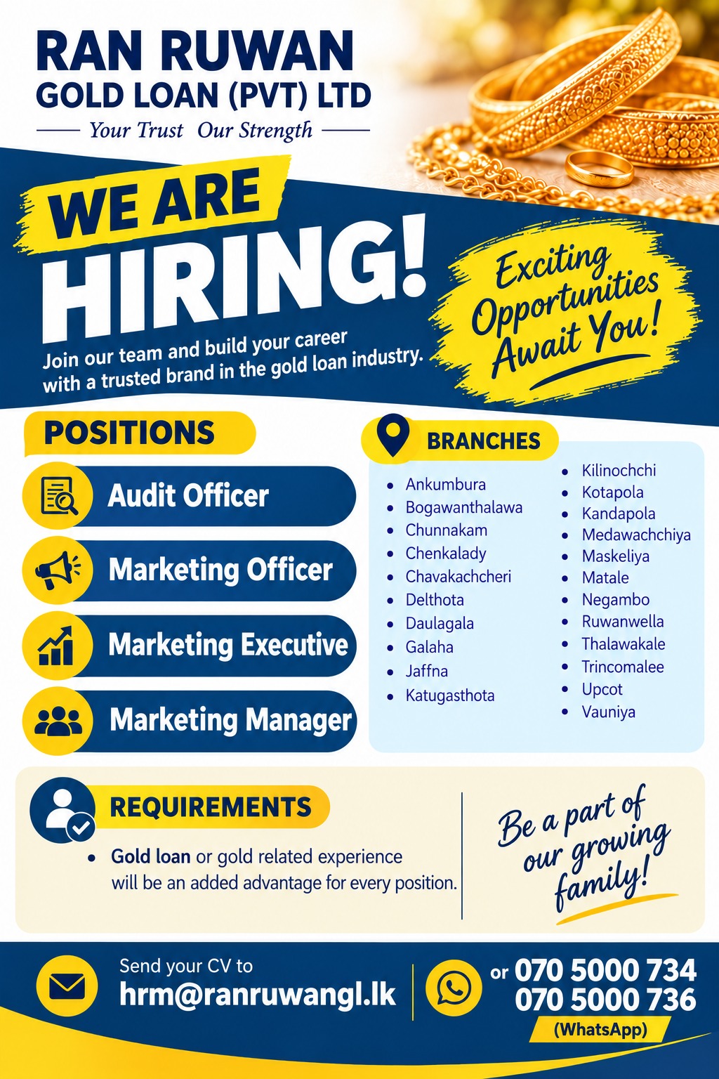 Marketing Manager  at Ran Ruwan Gold Loan (pvt) ltd  Banner