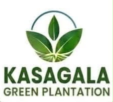 Kasagala Green Plantation 