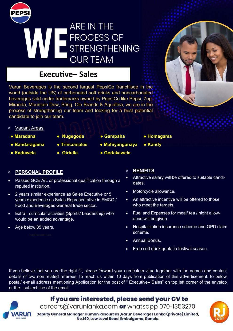 Executive Sales  at SKILLPOTS SRI LANKA Banner